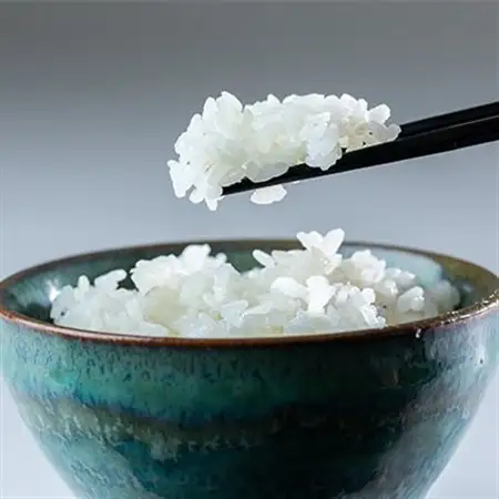 霧ヶ峰高原からの美しい伏流水が育んだお米「信州茅野　米沢吉田米」精米 10kg(5kg×2袋)_ 精米 米    コシヒカリ 米 こしひかり_【1418553】