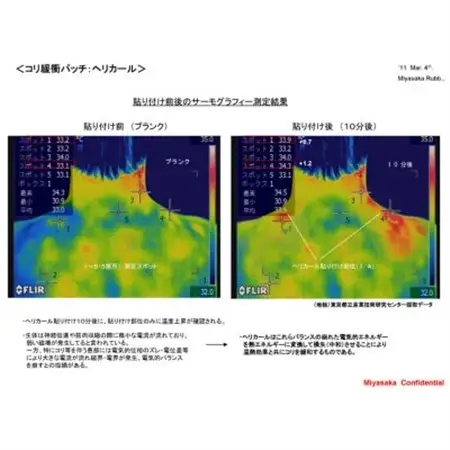 ヘリカールEX　大粒2個入り_雑貨   _【1422799】