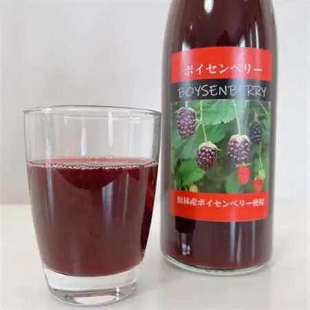ボイセンベリードリンク 2本セット_飲料・ドリンク 果汁飲料  _【1338625】