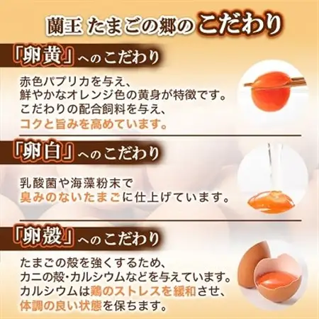 【毎月定期便】蘭王たまご 10個入り3パック ギフト箱でお届け全6回_卵 たまご 玉子 タマゴ 鶏卵 まとめ買い オムレツ 卵かけご飯 朝食 料理 人気 美味しい_【4001017】