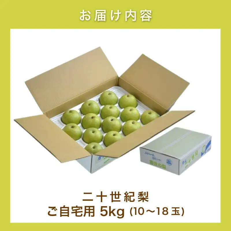 【先行予約】2026年度産 梨 二十世紀梨 ご自宅用 優品（Bランク）5kg L～5Lサイズ混合 【令和8年8月下旬以降発送予定】 20世紀梨 フルーツ 果物  12-20