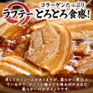 ラフテーそば（10食）三枚肉 生麺 特製スープ付き｜沖縄そば【宮良そば】ラフテー　人気