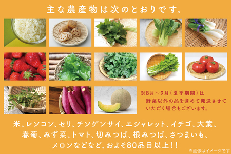 CU-129　【6ヶ月定期便】野菜王国なめがたの旬野菜の定期便