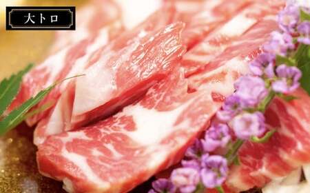 【純国産熊本肥育】桜牧場 馬刺し 霜降り 赤身 セット 5種 計400g