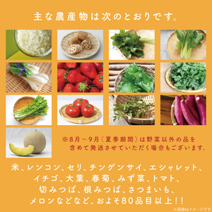 野菜王国なめがたの旬野菜便(米 5kg入り)｜野菜 やさい 米 お米 旬 野菜セット セット 茨城県 行方市(CU-135)