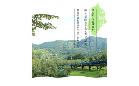 FKP9-685 【先行予約】二十世紀梨（廿世紀梨）約5kg