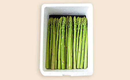 《先行予約 2026年度発送》山形の極旨 アスパラガス 約1kg（Lサイズ） アスパラ 野菜 食品 山形県 FSY-0800