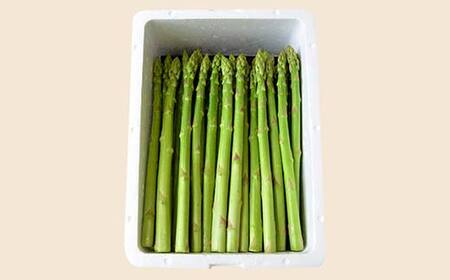《先行予約 2026年度発送》山形の極旨 アスパラガス 約2kg（Lサイズ） アスパラ 野菜 食品 山形県 FSY-0801