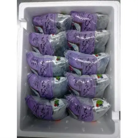 阿波のちびなす_野菜 茄子  なす ナス  惣菜・加工品  漬物 _【配送不可地域：離島】【1355303】