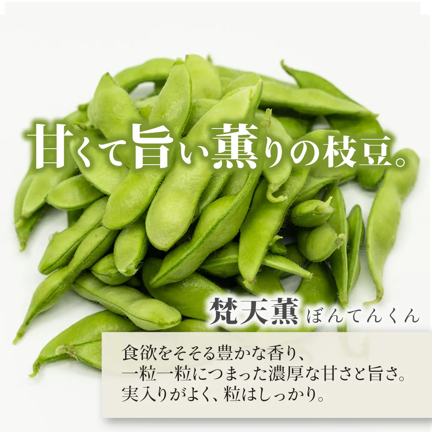 【先行予約】枝豆 梵天薫えだまめ（優品・家庭用）180g×5袋 枝豆