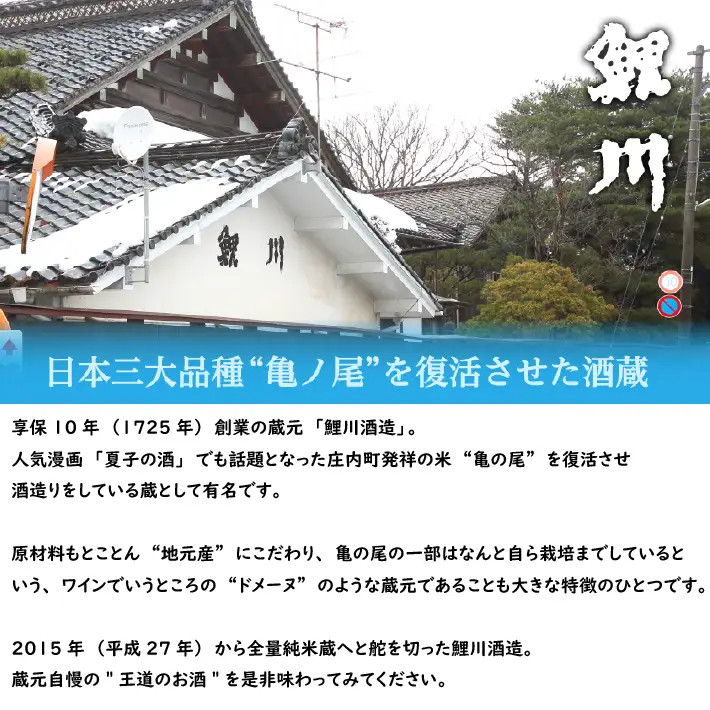 【3か月定期便】庄内の地酒 辛口の日本酒 鯉川酒造蔵元おすすめセット 720ml×2本 計6本 1725年創業（享保10年） 老舗酒蔵 日本酒 辛口 セット 定期【7月中旬発送/入金期限：2026年6月25日】