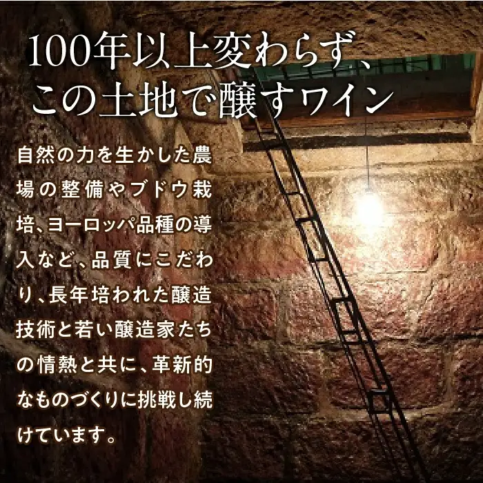 ルミエール ～ワイン定期便フルコース～ 063-005