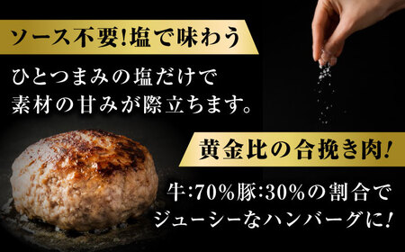 【スピード発送】ハンバーグステーキ 10個セット  [BAFK016]ハンバーグ