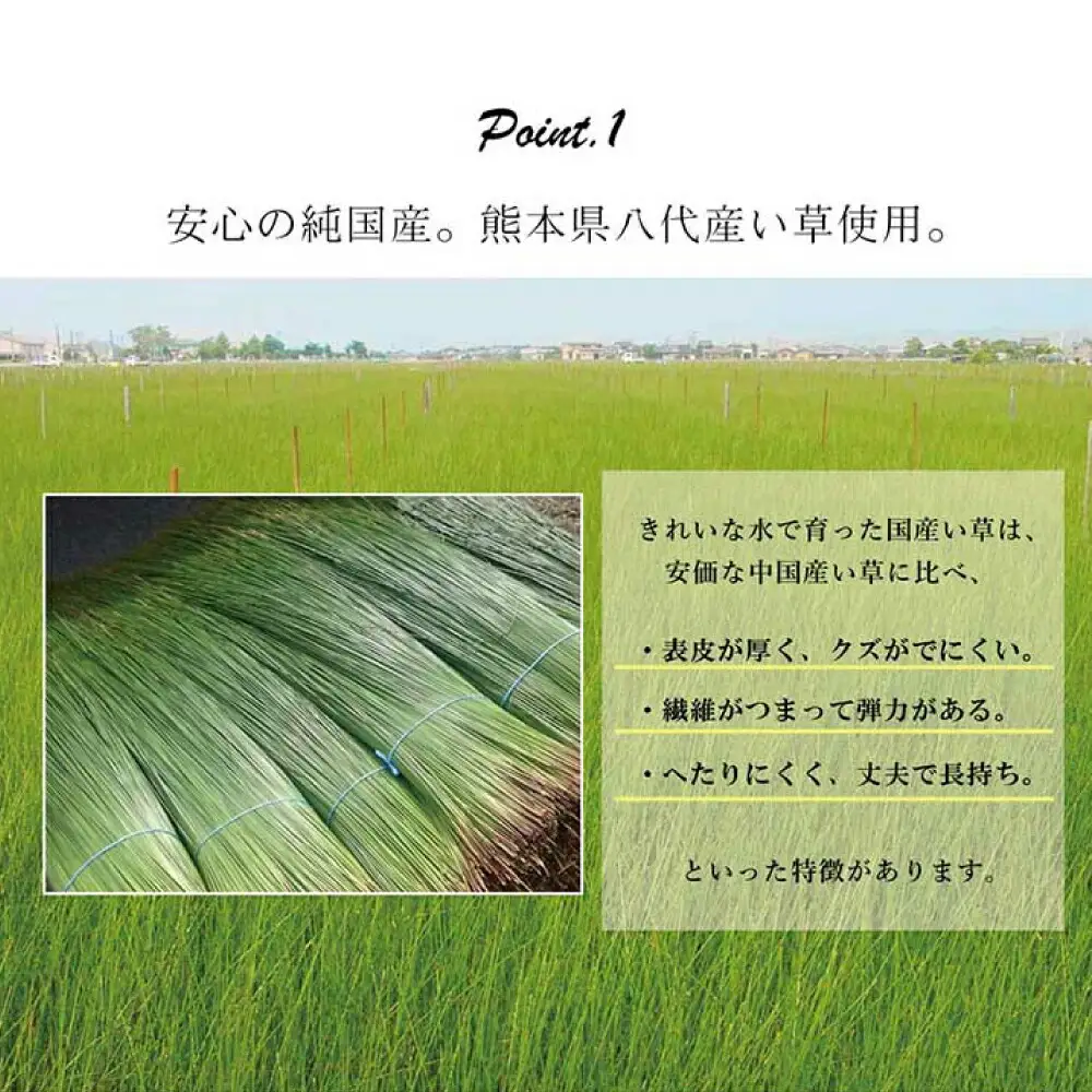 い草ネゴザ（白水）BL 88×180cm  シーツ 寝具 寝ござ 調湿 敷布団 マット い草シーツ シングル ラグ 夏用 夏 和風 和 八代市産 国産 日本製