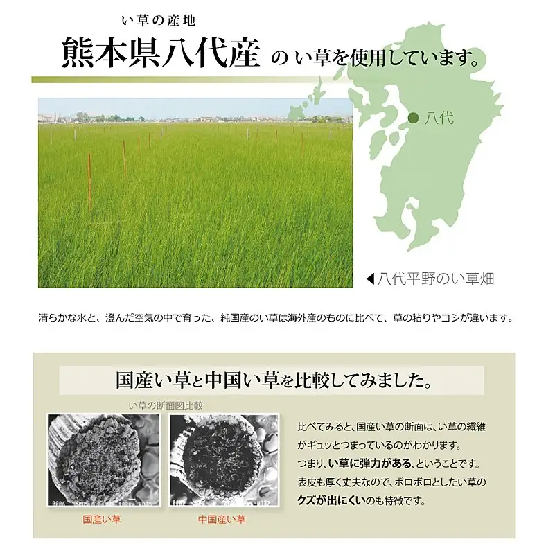 い草上敷き【不知火】江戸間4.5畳