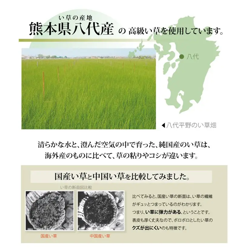 い草上敷き【清正】江戸間6畳