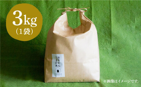 【令和7年度産】おぢかんうまか米 小値賀町産コシヒカリ 3kg 精白米 コシヒカリ [DAB010] 