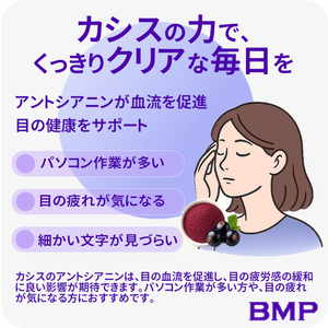 BMP カシスパウダー1kg（100g×10袋）（カシス濃縮果汁粉末）