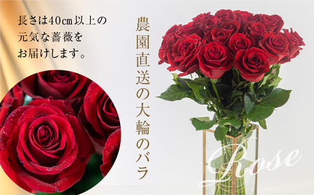 バラ 花束 大輪 赤 20本 (40cm) ブーケ 薔薇 ローズ バラ