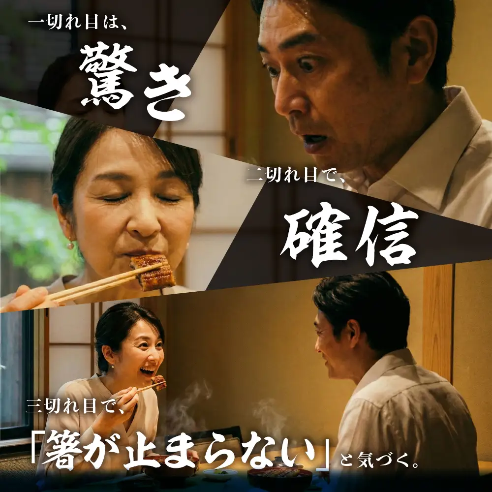 特上 幻の青うなぎ 2尾 うなぎ 丑の日 田原市