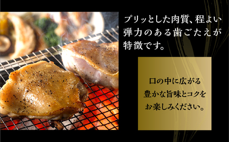 名古屋コーチン正肉お試しセット380g　地鶏 ／ 地鶏セット