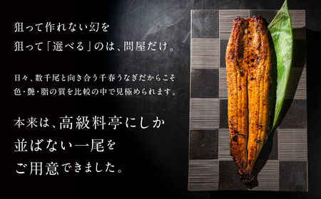 最高級 特上 幻の青うなぎ 3尾 うなぎ