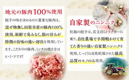 訳あり 無添加 手造り 餃子 100個入 絶品 こだわり タレ付き 国産 鍋 のトッピング 簡易包装 小分け お手軽 簡単調理 健康志向 ニンニク にんにく 23000円