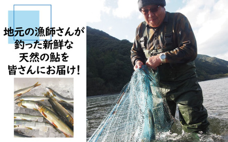 26-838．炭火でじっくり焼いた四万十川天然鮎の塩焼き(3～4匹)