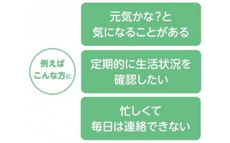 郵便局のみまもりサービス「みまもりでんわサービス（固定電話6か月）」 NSK003
