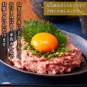 天然本鮪 ねぎとろ 計1kg：100g 10パックセット【静岡市清水】冷凍  マグロ  たたき ネギトロ丼 手巻き寿司 小分け 即席 海の幸 【配送不可：離島】◇
