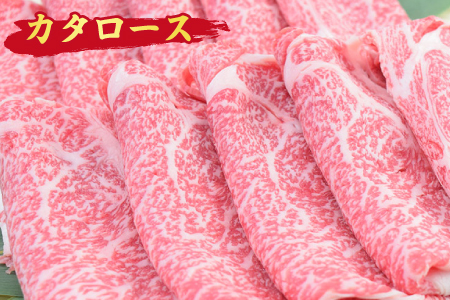 【スピード発送】【3回定期便】佐賀牛 定期便(ヒレ サーロイン カルビ 肩ロース 希少部位) (H085145)