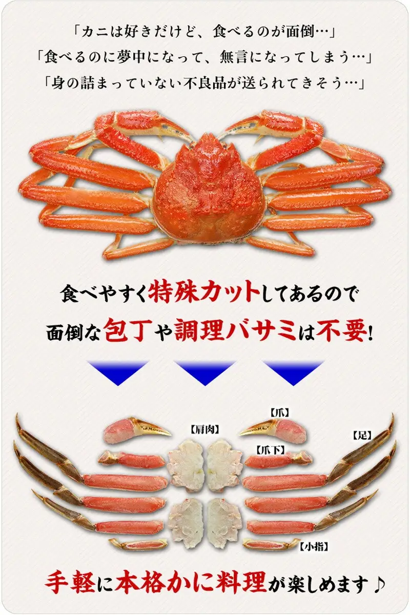 甲羅組のカット生ずわい蟹（高級品/黒箱）1000g [024-b024_fn] 