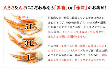[024-o002] 【4か月連続お届け】カット生ずわい蟹 内容量1000g／総重量1300g×２