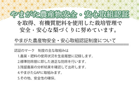 【令和8年産先行予約】 東荒屋産　豊水　(和梨)　5kg　山形県鶴岡市　鶴岡中央青果　| 梨 ナシ 果物 くだもの フルーツ 旬 期間限定 5キロ 甘い みずみずしい おすすめ 人気 お取り寄せ 返礼品