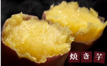 【先行予約】紅はるか《さつまいも 4kg》【令和8年11月以降発送予定】農薬不使用 サツマイモ 41-14