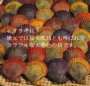 野菜盛り!ヒオウギ貝の黄金焼き（４個入り×3パック）冷凍食品 魚貝 ホタテ類 おかず 惣菜 おつまみ【R01610】