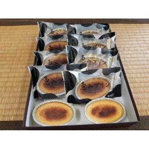 揖斐のめぐみプリン10個入り