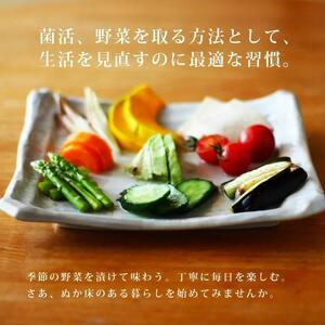 冷蔵庫で育てる熟成ぬか床 コンパクト容器付セット