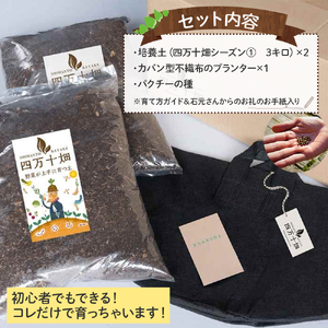 初心者も安心のお野菜栽培キット(パクチーの種付き)四万十の豊かな土壌を再現！！／Fis-B01 趣味 ガーデニング 家庭菜園 園芸 ベランダ菜園 プランター 種 パクチー パクチー種 培養土