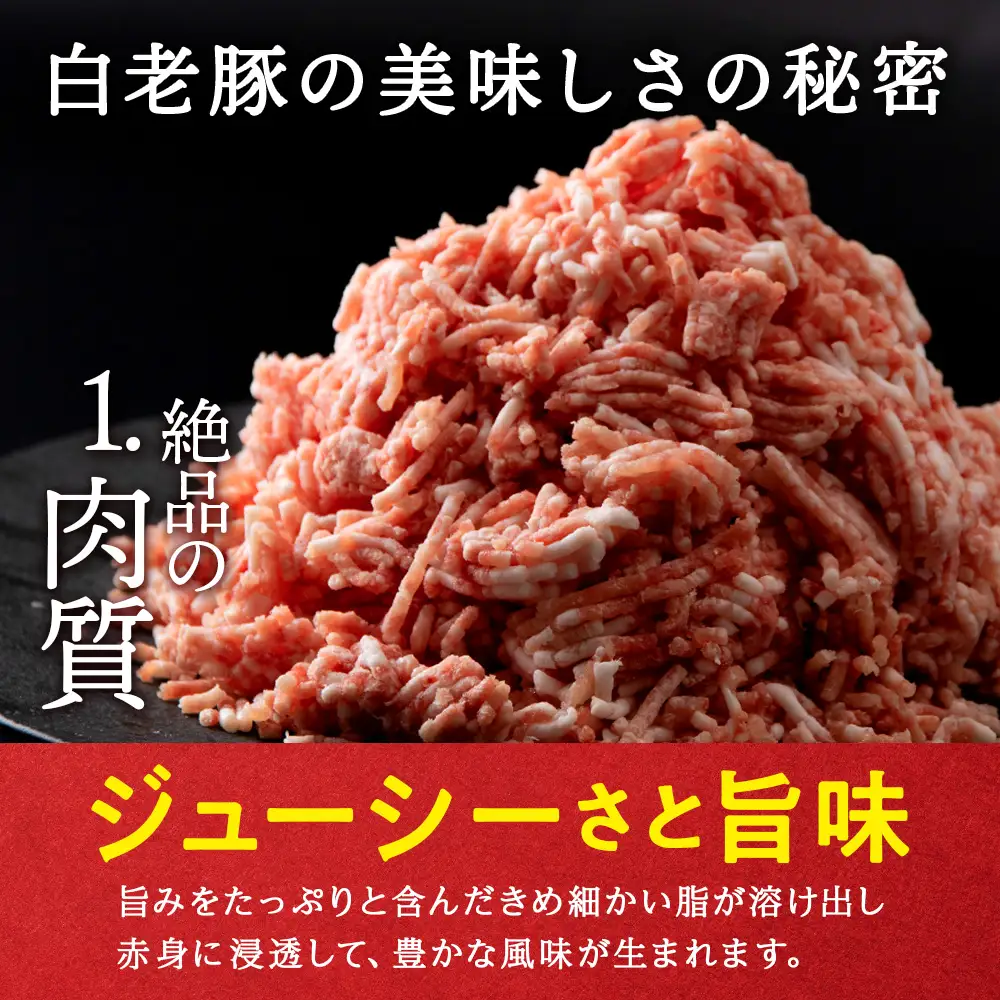 【定期便 6カ月】 北海道産 白老豚 ハンバーグ 120ｇ×20個 セット BV038