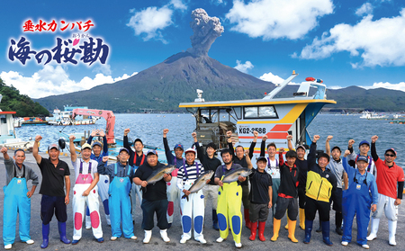 B2-0116／垂水カンパチ『海の桜勘』10人前 お刺身コース