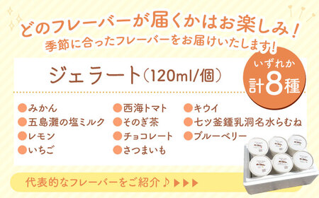 【年中人気】【3回定期便】 おまかせジェラート  8個 ＜みかんドーム＞ [CAI031]