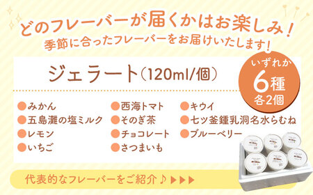 【年中人気】【3回定期便】 おまかせジェラート  12個 ＜みかんドーム＞ [CAI034]