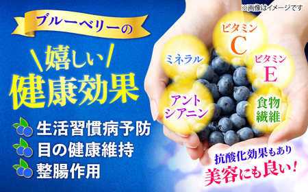 【2026年6月より順次発送】 ブルーベリー 1kg＜広津農園＞[CBN008]  新鮮 産地直送 フルーツ 健康 冷蔵 栽培期間中 農薬不使用 ブルーベリー 果物 果実 