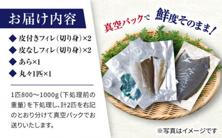 土日配送 先行予約 ヒラメ 堪能6点セット CBW002 ヒラメ