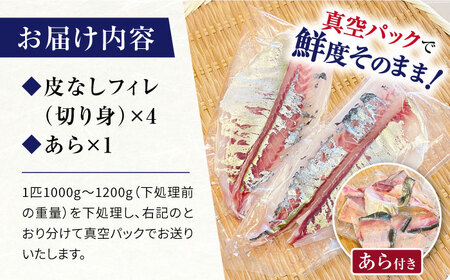 先行予約 シマアジ 堪能5点 [CBW006] アジ