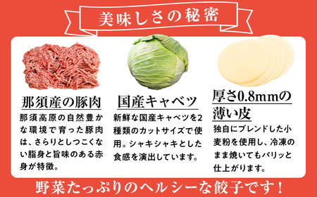 8-3 玉ちゃん餃子8人前（24個×2袋) ぎょうざ ギョーザ おつまみ おかず 惣菜 ※着日指定不可