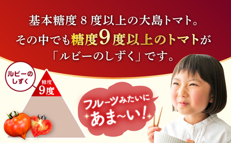  訳ありトマト ルビーのしずく1.2kg | トマト ／CCK025