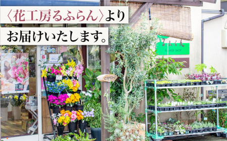 【3回定期便】バラ の 花束 （オレンジ）花 花束 バラ ばら ブーケ 記念日 贈答 ギフト プレゼント ＜花工房るふらん＞ [CCR029]