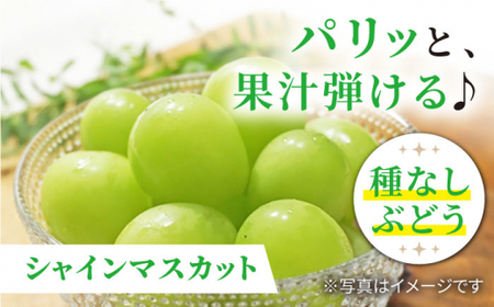 先行予約 訳あり 詰め合わせ赤白セット 約2kg＜山田果樹園＞CCX008 ぶどう